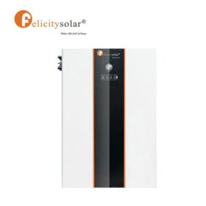 FL-LPBF 48100 48V 5KWH Lithium Battery